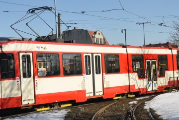 Autor zdjęcia: własne